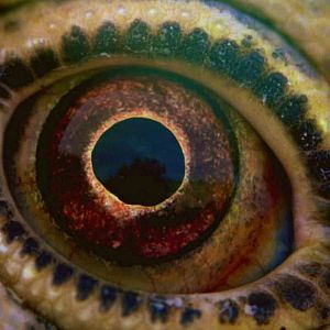 Photo Voyage of Time : Au fil de la vie