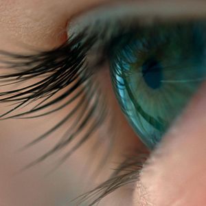 Photo Voyage of Time : Au fil de la vie