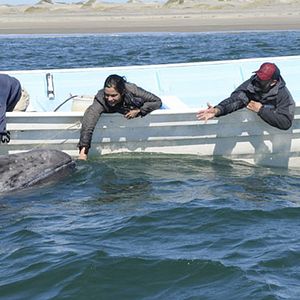 Photo Úrsula Pruneda