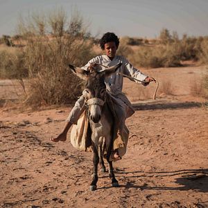Photo Theeb - la naissance d'un chef