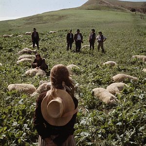 Photo Loin de la foule déchaînée