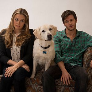 Photo Alicia Silverstone