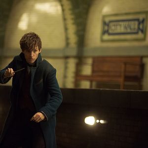 Photo Les Animaux fantastiques