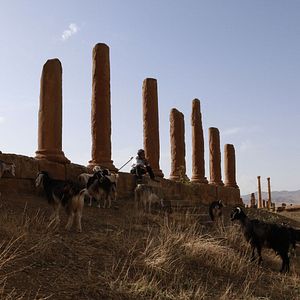 Photo Timgad