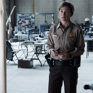 Photo Julianne Nicholson