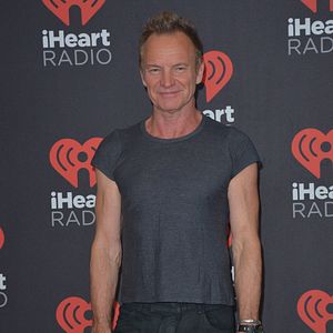 Photo Sting