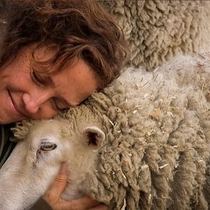 Photo La Fin de la viande