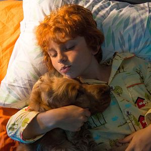 Photo Charlie Langendries