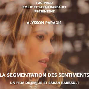 Photo La Segmentation des sentiments