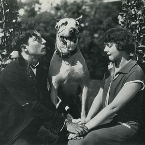 Photo Les Fiancées en folie
