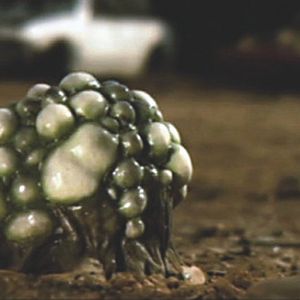 Photo Alien Opponent