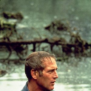 Photo Paul Newman
