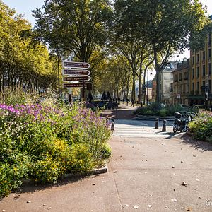 Photo Zéro Phyto 100% Bio