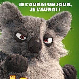 Photo Les As de la Jungle
