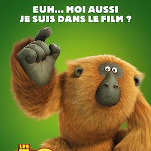 Photo Les As de la Jungle
