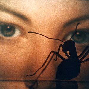 Photo Lynne Frederick