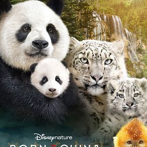 Photo Nés en Chine