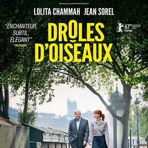 Photo Drôles d'oiseaux