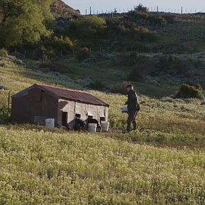 Photo Alejandro Sieveking