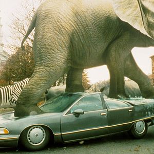 Photo Jumanji