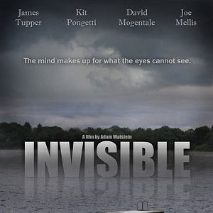 Photo Invisible