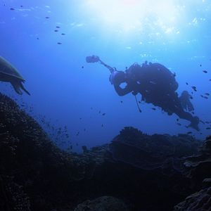 Photo Chasing Coral