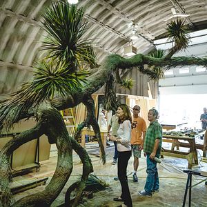 Photo Le Château de verre