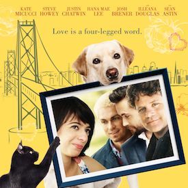 Photo Mon chat, mon chien... et les autres ?
