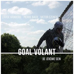 Photo Goal Volant