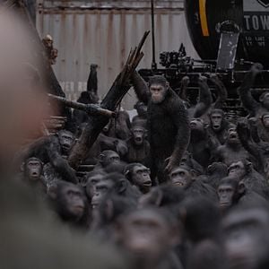 Photo La Planète des Singes - Suprématie