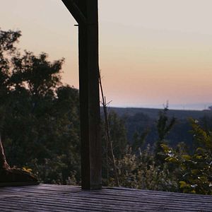 Photo Voyage en pleine conscience