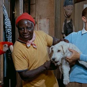 Photo Tintin et le mystère de la toison d'or