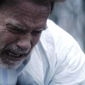 Photo Arnold Schwarzenegger