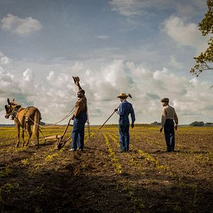 Photo Mudbound