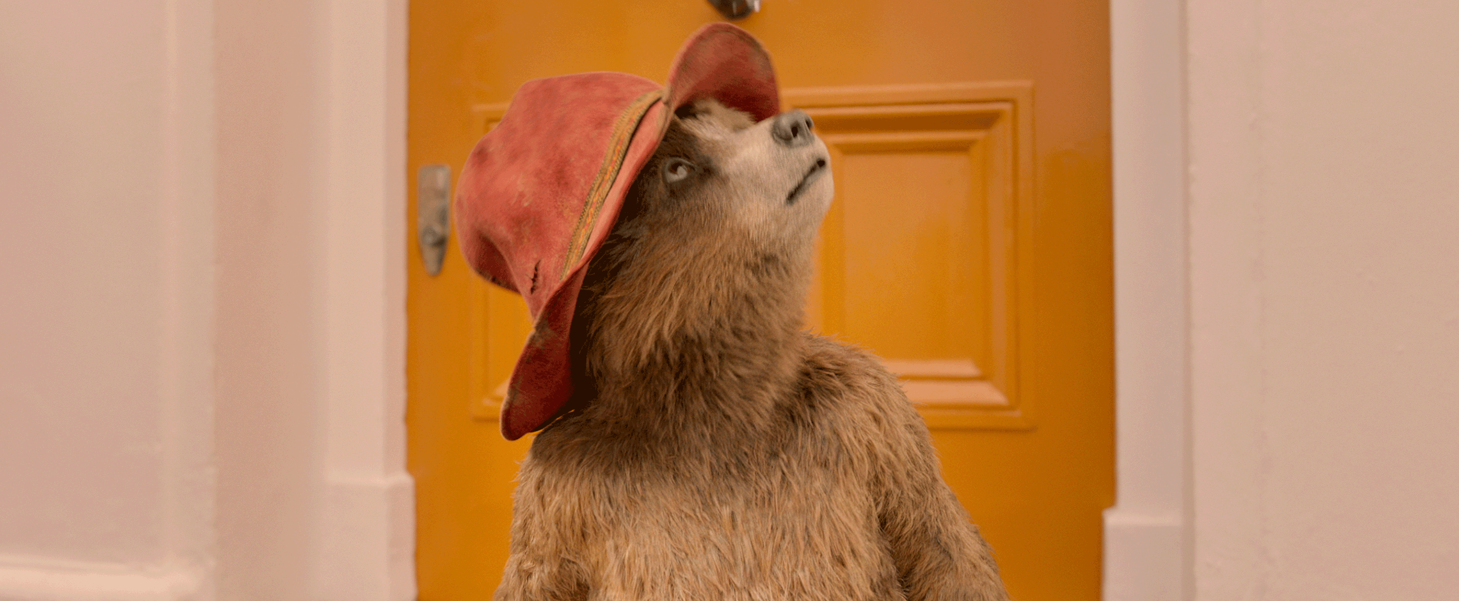 Photo Paddington 2