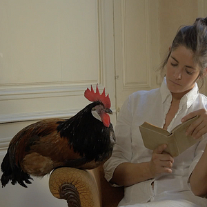 Photo La Fable du coq