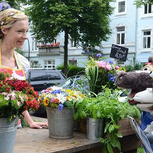 Photo Friederike Linke