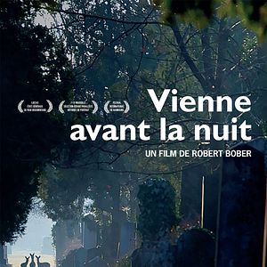Photo Vienne avant la nuit
