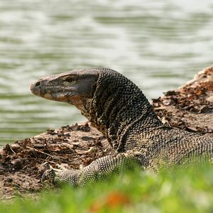 Photo Thailand: Earth's Tropical Paradise