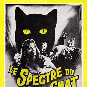 Photo Le spectre du chat