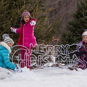 Photo Scarlett Estevez