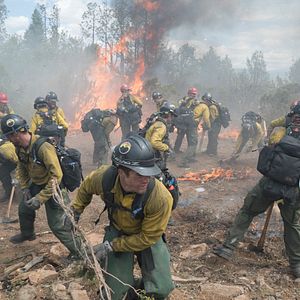 Photo Line of Fire