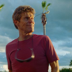 Photo The Florida Project