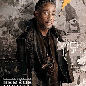 Photo Le Labyrinthe : le remède mortel