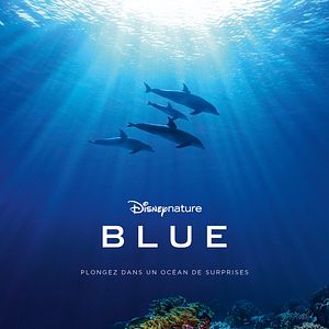 Photo Blue