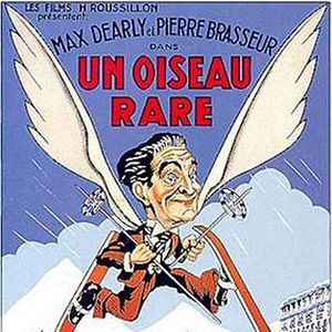 Photo Un Oiseau rare