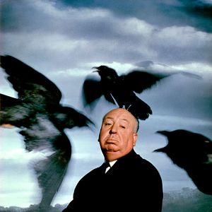 Photo Les Oiseaux