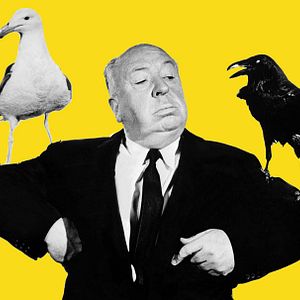 Photo Les Oiseaux