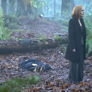Photo X-Files