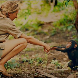 Photo Jane Goodall